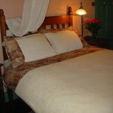 Maddies Of Bolwarra - Accommodation Sydney 3