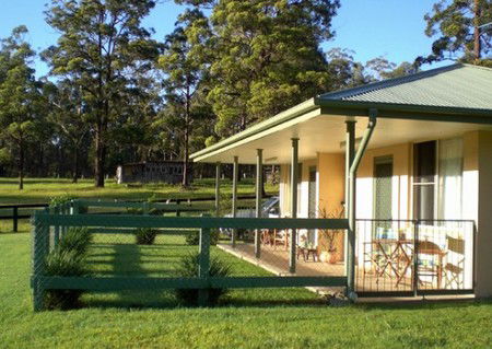 Neds Bed Horse O Tel - Sydney 4u 1