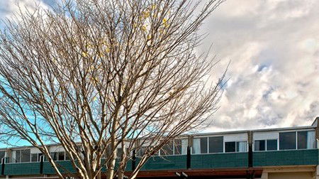 St Helens Bayside Inn - Accommodation Sydney 1