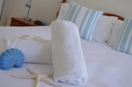 Cerulean Apartments - Accommodation Sydney 5