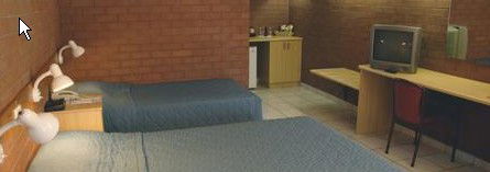 Pine Tree Motel - Accommodation Sydney 0