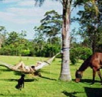 Neds Bed Horse O Tel - Accommodation Sydney