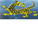 Dragon Phoenix Motel amp Restuarant - Accommodation Sydney
