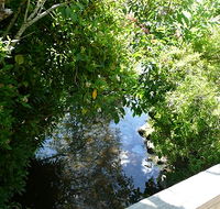 Mole Creek Hotel - Sydney 4u