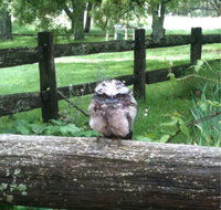 Milton Park - Accommodation Sydney