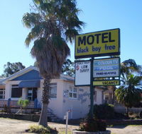 Blackboy Tree Motel - Sydney 4u