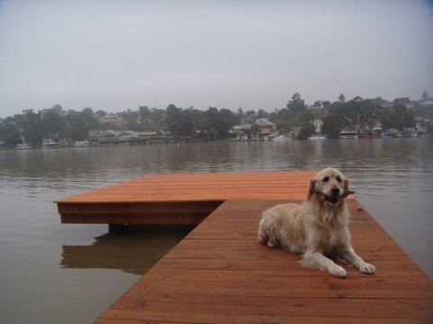 Eleven From The Left - Accommodation Sydney 0