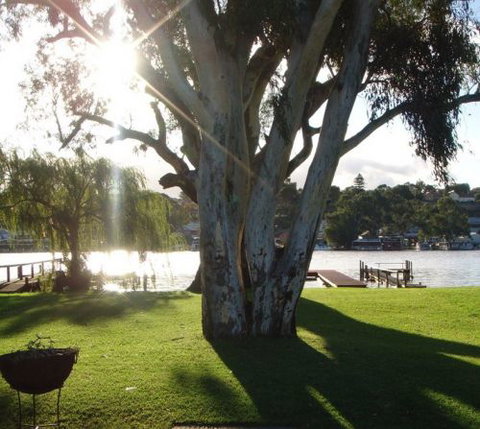 Eleven From The Left - Accommodation Sydney 1