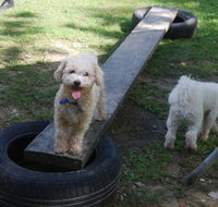 Beenleigh Pet Motel - Sydney 4u