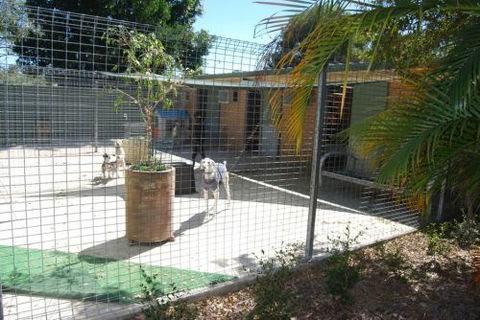 Beenleigh Pet Motel - Sydney 4u 4