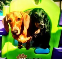 AAA Pet Motel - Accommodation Sydney