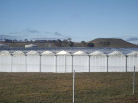 Guyra Motor INN - Accommodation Sydney 7