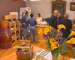 Settlers Ridge Organic Wines - Accommodation Sydney 0