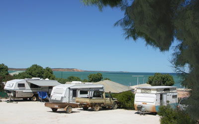 Blue Dolphin Caravan Park And Holiday Village - Sydney 4u 0