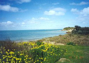 Southern Ocean Tourist Park - Accommodation Sydney 1