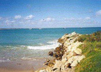 Southern Ocean Tourist Park - Accommodation Sydney 2