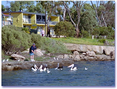 Almonta Holiday Apartments - Accommodation Sydney 0