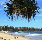 Mariners Caloundra - Sydney 4u