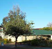 Riverland Motor Inn - Accommodation Sydney