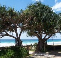 Pacific Surf Absolute Beachfront Apartments - Accommodation Sydney