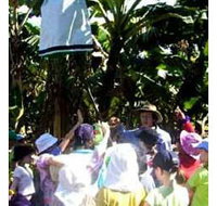 Beachfarm Farmstay - Sydney Resort