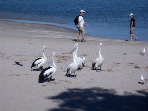 Kalbarri Accommodation Service - Accommodation Sydney 5