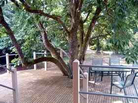 Magnolia House Marysville - Sydney 4u 0