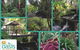 The Oasis At One Mile Beach - thumb 2
