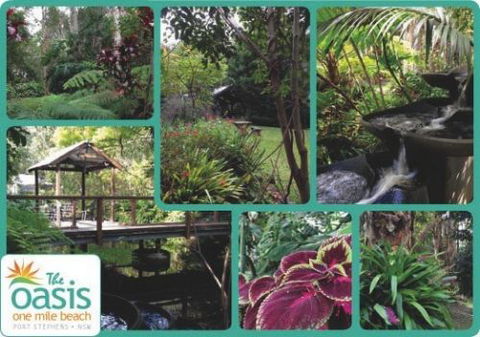 The Oasis At One Mile Beach - Accommodation Sydney 2