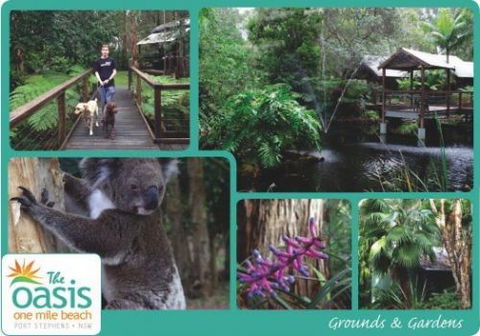 The Oasis At One Mile Beach - Accommodation Sydney 3