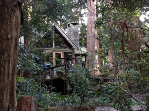 Coolgarra Bush House - Accommodation Sydney 0