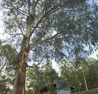 Outpost Restaurant - Accommodation Sydney
