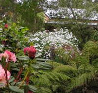 Lorne Lemonade Creek Cottages - Sydney 4u