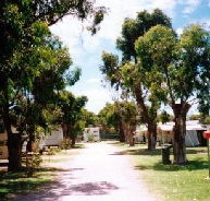 Bathers Paradise Caravan Park - Accommodation Sydney