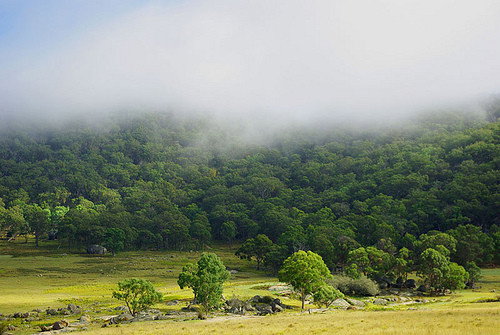 Deepwater NSW Accommodation Sydney