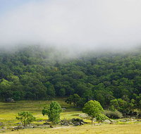Tor Cottage at Anketell Forest - Accommodation Sydney
