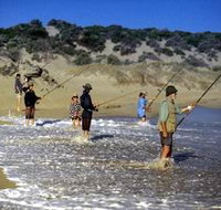 Flippers Beachouse - Accommodation Sydney