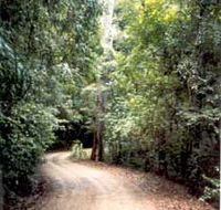 Mt Glorious Getaway Cottages And Conference Centre - Sydney 4u
