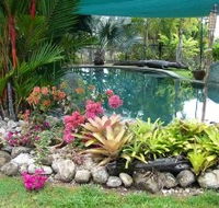 Daintree Wild Bed And Breakfast - Sydney 4u