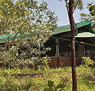Arnhemland Barramundi Nature Lodge - Accommodation Sydney