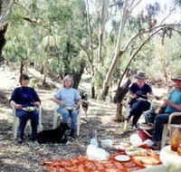 Bimbimbi And Little Hollow Farm Stay - Sydney 4u