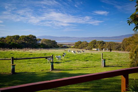 Coastal View Cabins - Sydney 4u 9