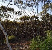 Lions Dryandra Woodlands Village - Sydney 4u