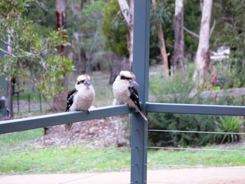 The Ripley Family Holiday Retreat - Sydney 4u 9