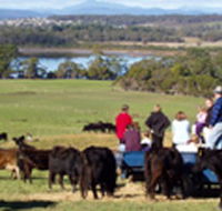 Bonny Brae - Accommodation Sydney