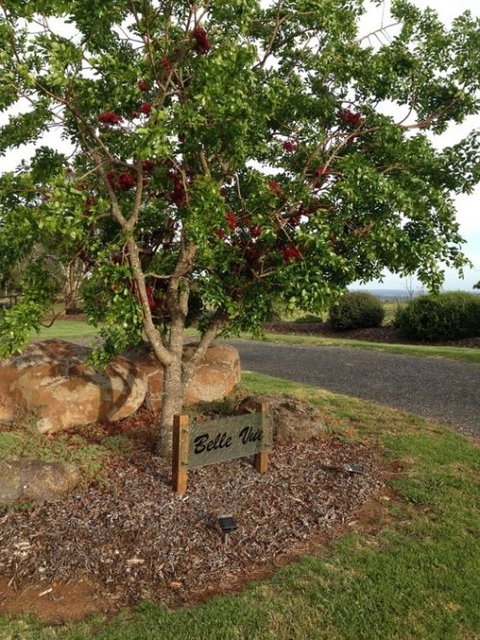 Belle Vue Studio - Accommodation Sydney 0