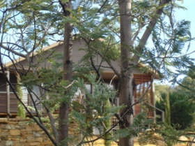 Blue Cliffs Retreat - Accommodation Sydney 0