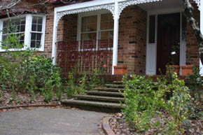 Leura Camellias - Accommodation Sydney 0