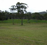 Mt White Lodge - Sydney 4u