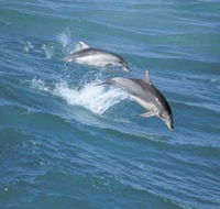Seachange - Sydney 4u